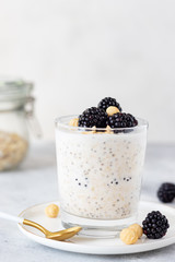 Fototapeta na wymiar overnight oats with coconut milk, chia seeds, hazelnuts and blackberries on a gray background. Clean eating concept. copy space. vertical image