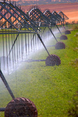 An irrigation pivot watering a field