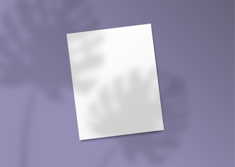 Realistic monstera plant shadow falling on blank piece of paper