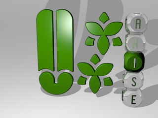 ANISE 3D icon beside the vertical text of individual letters - 3D illustration for background and cinnamon