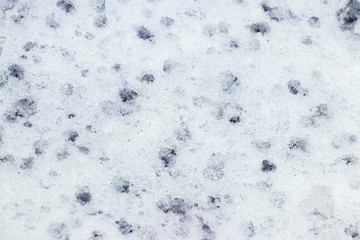 Obraz premium Wet snow texture. Snow in winter during the thaw