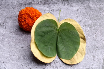 Dussehra or Vijaya dashmi greeting card. Green leaf or aaptyache paan and marigold