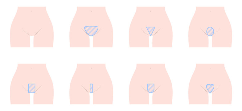 9 件の最適な ハイジニーナ 画像、ストック写真、ベクター  Adobe Stock