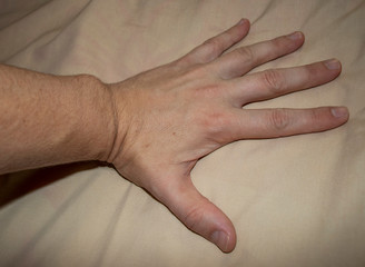 Fototapeta premium Closeup shot of a left hand of a 40 years old male.