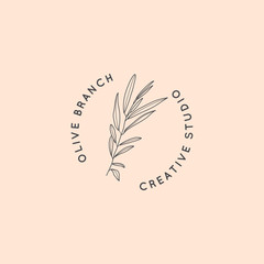 Olive branch with leaves logo design template in simple minimal linear style. Abstract Feminine Vector Signs