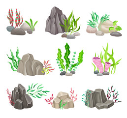 Angulated and Smooth Sea Stones with Seaweeds and Algae Vector Composition Set © Happypictures