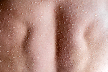 Fototapeta premium Muscular Man back with water drops. Fitnes and healt care concept top horizontal view