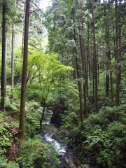 Hossawa Falls in tokyo, JAPAN