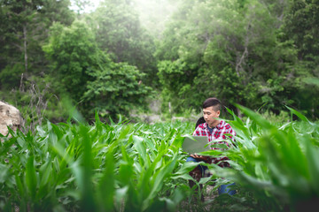 Naklejka na ściany i meble Young farmer sitting checking his corn field and working on laptop computer under the tree, Agribusiness concept.