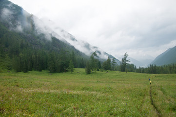 Obraz premium Landscape view of mist-covered Altai mountains with unrecognizable tourists walking along green meadow, Russia
