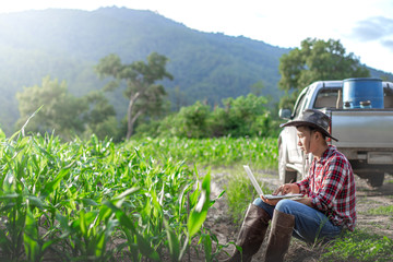 Young farmer sitting and checking his corn field with use laptop computer processing, Agribusiness concept.