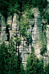 Skały porośnięte roślinami © MagicEarthPlanet