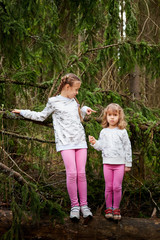 Fototapeta premium Two young girl playing and having fun together on walk in forest outdoors. Happy loving family with two sisters or female friends posing on nature landscape with with pine trees.