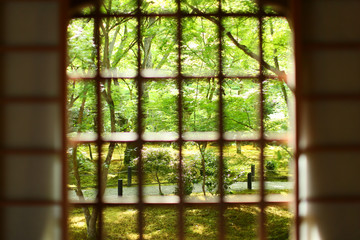 和室の格子窓から見える緑の庭園