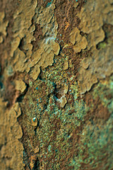 texture, cracks in the coating, vintage background