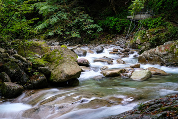山梨県の西沢渓谷