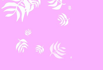 Fototapeta na wymiar Light Purple, Pink vector abstract design with leaves.
