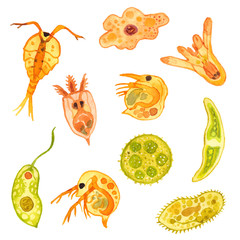 プランクトンたち