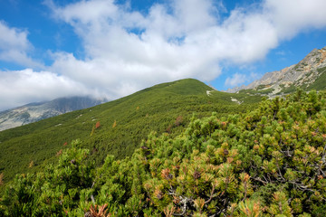 Naklejka premium Great Cold Valley in High Tatras, Slovakia. The Great Cold Valley is 7 km long valley, very attractive for tourists