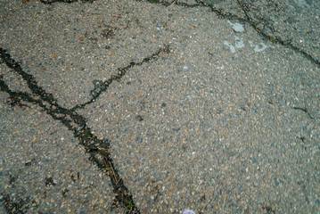 texture of light old asphalt with cracks