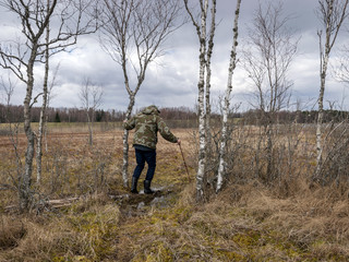 monotonous landscape with a man in a swamp, traditional swamp vegetation in spring