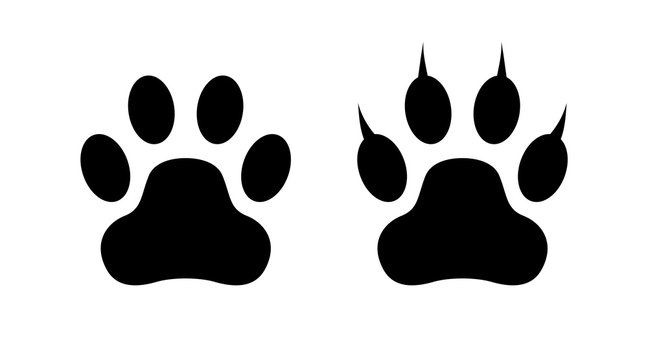 Paw print of animal icon, dog or cat footprint symbol isolated on white background