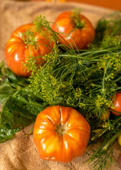 tomatoes of different shapes, colors and sizes, harvest time