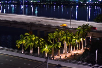 view at the night road with palms next to the Marina Bay Gardens By The Bay Singapore