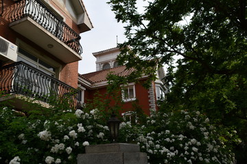 Fototapeta na wymiar An old fashioned house in central historical district surrounded by flowers