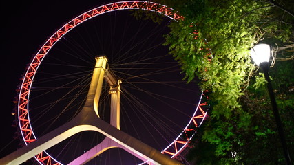 View at ferry's wheel at night from the low angle view with some green branches
