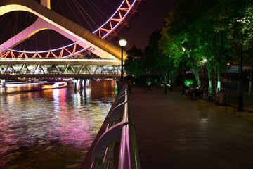 the way or riverside walk towards the ferry's wheel at night Tianjin Eye at night with some green trees and bushes