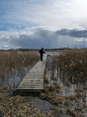  a human figure on a wooden pedestrian footbridge in a swamp, traditional swamp vegetation background