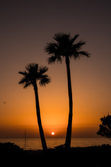 Sunset at La Barrosa beach in Sancti Petri, Cadiz, Spain