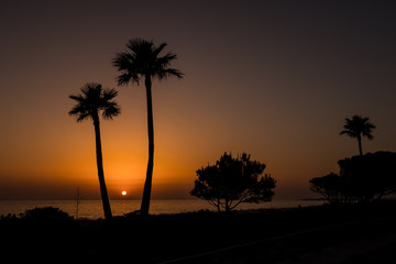 Obraz premium Sunset at La Barrosa beach in Sancti Petri, Cadiz, Spain