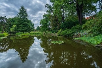 Fototapeta na wymiar Wroclaw, Poland August 5, 2020; The Botanical Garden of the University of Wrocław.