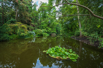 Wroclaw, Poland August 5, 2020; The Botanical Garden of the University of Wrocław.