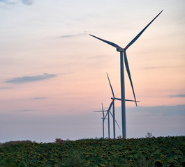 wind generators are in the field green energy