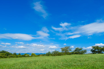 夏の草原　爽やか　背景素材