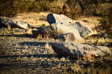 Rocks In The Desert Plain View