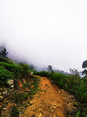 roads to the mountains