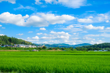 田舎の田園風景　京都府木津川市