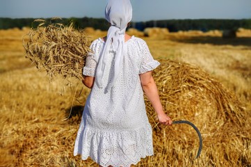 A peasant girl in a white dress and a scarf harvesting wheat with a sickle and an armful of wheat ears in her hands