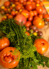 tomatoes of different shapes, colors and sizes, harvest time