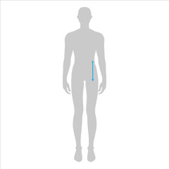 Men to do body rise measurement fashion Illustration for size chart. 7.5 head size boy for site or online shop. Human body infographic template for clothes. 