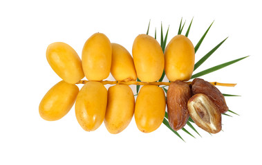 Fresh date fruits and dried date fruits with date palm leaf  isolated on white background, top view.