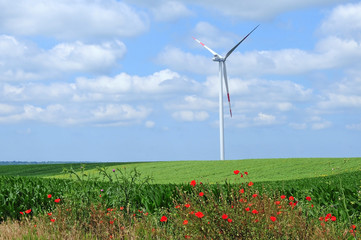 wind turbine and green field
