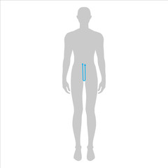 Men to do crotch depth measurement fashion Illustration for size chart. 7.5 head size boy for site or online shop. Human body infographic template for clothes. 
