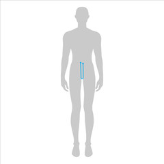 Men to do crotch depth measurement fashion Illustration for size chart. 7.5 head size boy for site or online shop. Human body infographic template for clothes. 