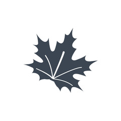 Maple Leaf icon ( vector illustration )