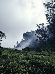 clouds over the mountain